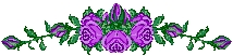 flowerpurple2.jpg